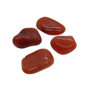 Carnelian Tumbles (Medium)