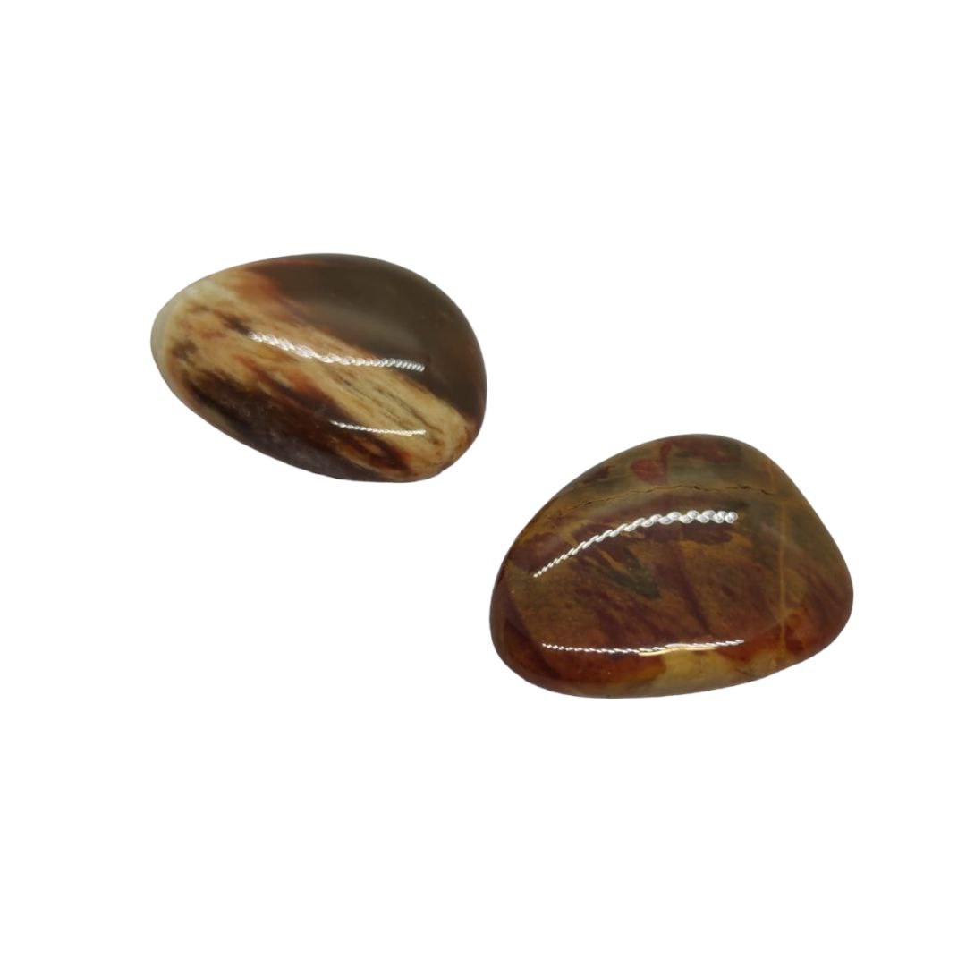 Petrified Wood (Large)