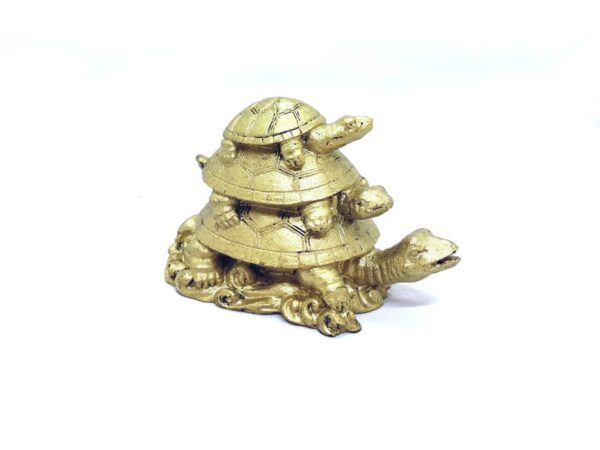 3 Tier Tortoise