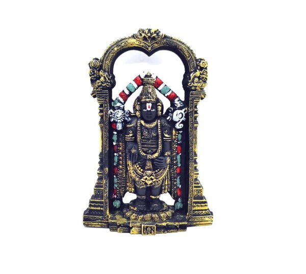 Balaji (116 873)