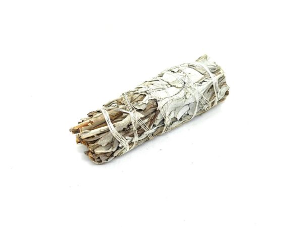 Californian White Sage Mini