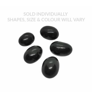 Shaligram Stone