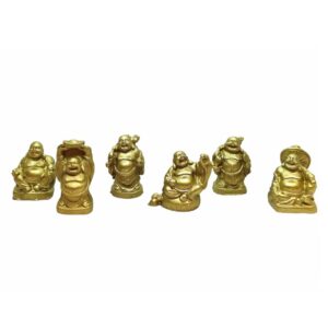 Buddha 6 Pack