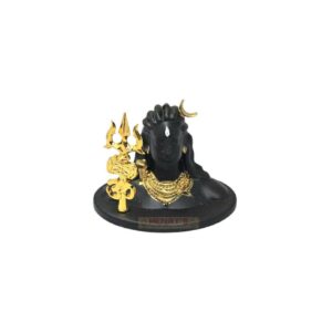 Adiyogi (117454)