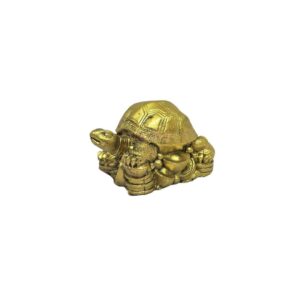 Tortoise Small (104115)