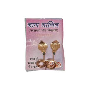 Snake Pair – Nag Nagin (Copper)