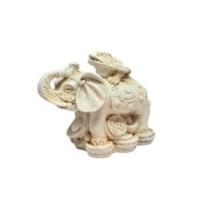 Elephant Frog (FS024)