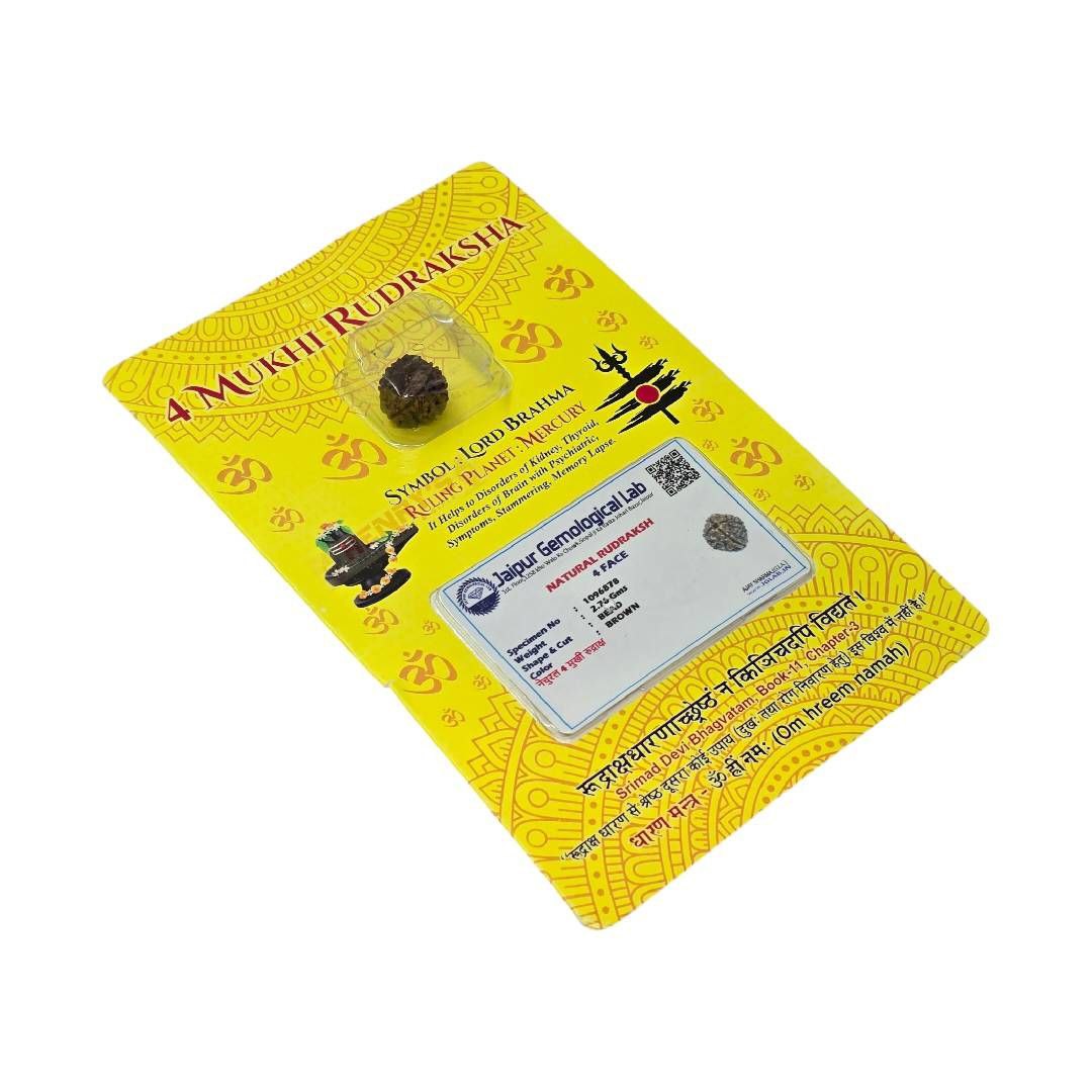 Rudraksh With Certificate (4 Mukhi/Face)