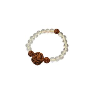 Rudraksh with Clear Bead Bracelet