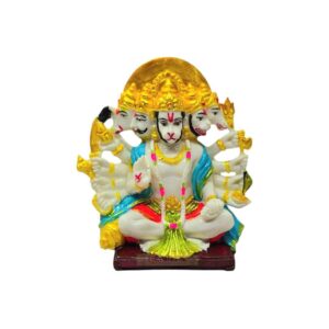 Hanuman 5 Head Colour
