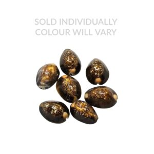 Serpent Head Cowrie Shell
